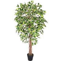 Homescapes Variegated Green Ficus Tree Artificial Plant with Twisted Trunk, 6 Ft - Green