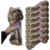 Large Whole Roasted Dog Bone Treat Natural Jumbo Dino Bone Extra Large - Brown / 8