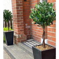 Pair of Twist Natural Artificial Topiary Bay Laurel Ball Trees - Natural Twist