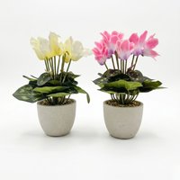 Homescapes Set of 2 Cyclamen Artificial Plant in White Pot, 24 cm - White, Pink