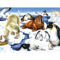 Wild Arctic 1000 Piece Jigsaw Puzzle - Neutral
