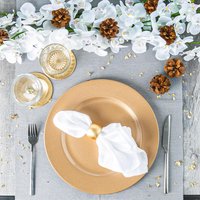 Metallic Melamine Charger Plates - Gold / 6