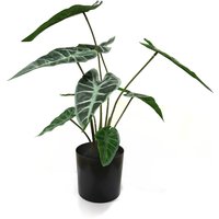 Artificial Alocasia Plant in Black Pot - Green