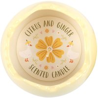 Citrus Ginger Egg Shaped Candle Spring Scented Home Decor - Yellow