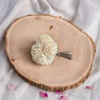 Artificial Pom Pom Bunch 22 cm - Cream