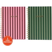 2027 Stripe Diary
