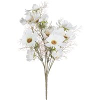 Radiant Cosmos Spray - Cream