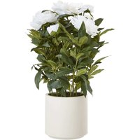 Large Artificial White Peony in Matt White Ceramic Pot - White