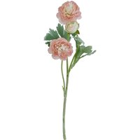 The Natural Garden Collection Ranunculus (Single Stem Flower) - Plastic - Height 50 cm - Pink