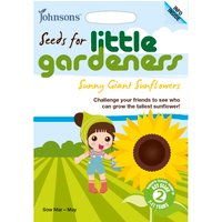 Johnsons Little Gardeners Sunny Giant Sunflowers