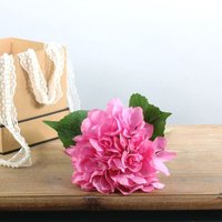 Single Arundel Hydrangea Stem - Pink