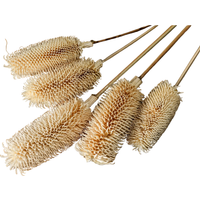 Bouquet Of Dried Tall Thistle Artificial Flower Stem - White