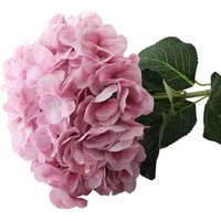 Giant Head Hydrangea Single Stem - Light Pink