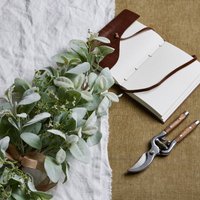 Winter Elegance Spray With Lambs Ear And Wax Flower - Green