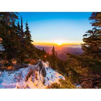 Sunset in the Snowy Forest 1000 Piece Jigsaw Puzzle - Neutral