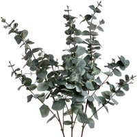 Variegated Eucalyptus Faux Botanical Nature Inspired Decor - Green