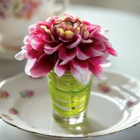 Flower of the Month - Green / October