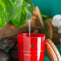 Pack of 3 Soy Wax Scented Candles - Wild Fid & Cassis