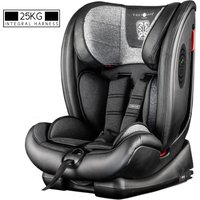 Excalibur Group 1-2-3 Child Car Seat - Graphite