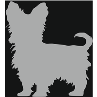 Pet Mirrors, Yorkshire Terrier Style 4 Silver Acrylic Mirror - Silver / Medium Pet Mirrors, Yorkshire Terrier Style 4 Silver Acrylic Mirror - Silver / Medium
