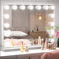 Hollywood Makeup Vanity Mirror with 15 LED bulbs - White