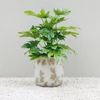 Natural Stone Effect Round Patio Planter in Embossed Leaf Pattern - Grey / 67l