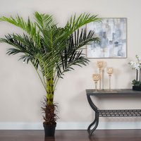 2 Pcs Artificial Plants Palm Tree with Pot - Green