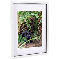 3D Box Photo Frame with A4 Mount - A3 (12" x 17") - White/White