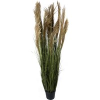 Realistic Natural Pampas Grass Plant - Pampas Grass