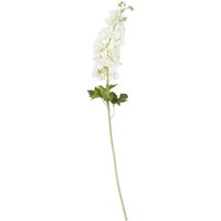 Delphinium Stem - White