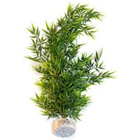 Sydeco Bamboo Aquarium Ornament - Green