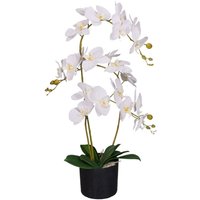 Leaf Design UK Realistic Artificial Orchid Flower Display in Pot - White / 65cm / 50cm