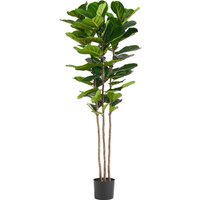 Premium Artificial Fiddle Leaf Fig Tree - Fiddle Fig / 70cm