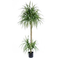 Leaf Design UK Artificial Yukka Tropical House Plant - 180cm Dracaena Tree / 180cm / 60cm