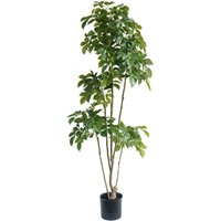 XL Luxury Artificial Trees by Leaf UK - 180cm Radermachera Tree / 180cm / 70cm
