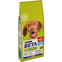 Beta, Purina Beta Adult Dry Dog Food - 2kg / Turkey Beta, Purina Beta Adult Dry Dog Food - 2kg / Turkey