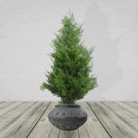 Large Composite Triangle Planter - Gliese Triangle