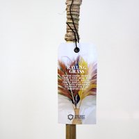 Rayung Grass Coral Handcrafted Dried Dyed Stems for Elegant Bali Decor - Multi