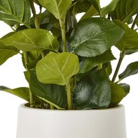 Wyld Haus Artificial Medium White Hydrangea in White Ceramic Pot - White