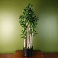 Leaf Artificial Deluxe Green Jade Plant - Green