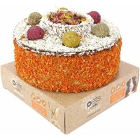 Celebration Cake for Small Animals