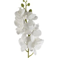 Artificial Phalaenopsis Orchid Stem Flowers - White Orchid
