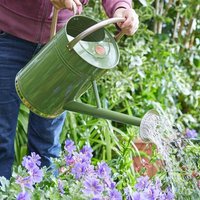 Metal Watering Can Various Designs - Green / 9l