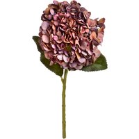 Autumn Coffee Hydrangea Warm Colored Flower Arrangement - Red