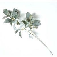 Lambs Ear Foliage 70 cm - Green