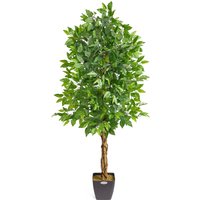 Artificial Ficus Tree in Pot - Green / Green Leaves / 150cm