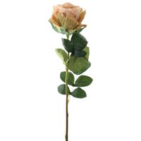 Single Stem Silk Garden Rose - H35cm - Vintage Nude