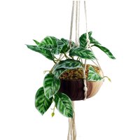 Hanging Artificial Pothos Plant with Planter - Hanging Pothos Plant Planter