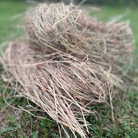 Hedgehog House Nesting Material - Brown