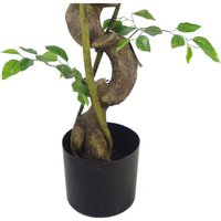 Twisted Trunk Artificial Japanese Fruticosa Style Ficus Tree Metal Planter - Twisted Rainbow